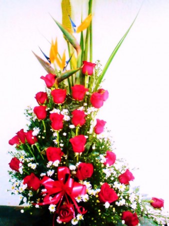 rosas y aves $100.000